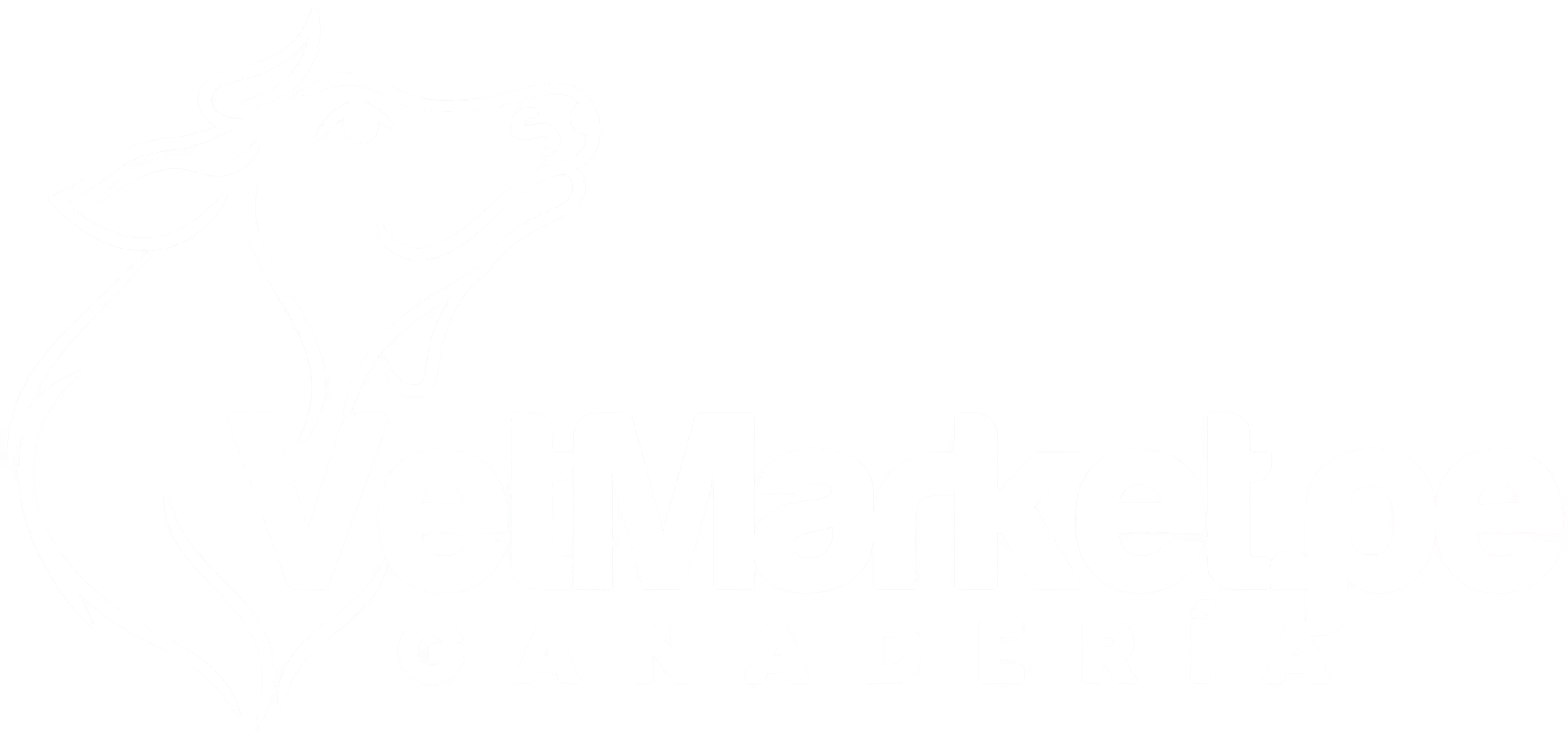 Logo VetMarket.pe