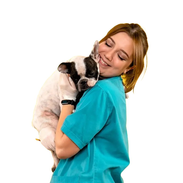 Veterinaria