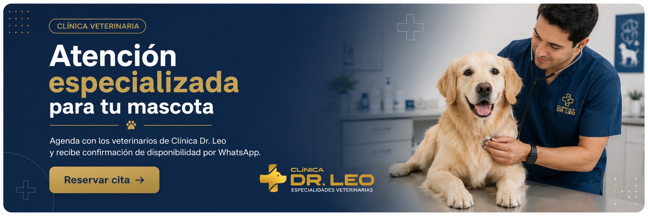 Atención especializada para tu mascota. Agenda tu cita con los veterinarios de la Clínica Dr. Leo.